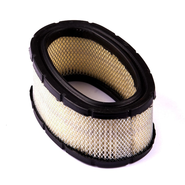 Briggs & Stratton Air Filter 393406 - main